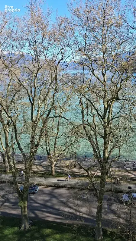 Appartement à vendre 2 pièces ANNECY (74) - photo 5