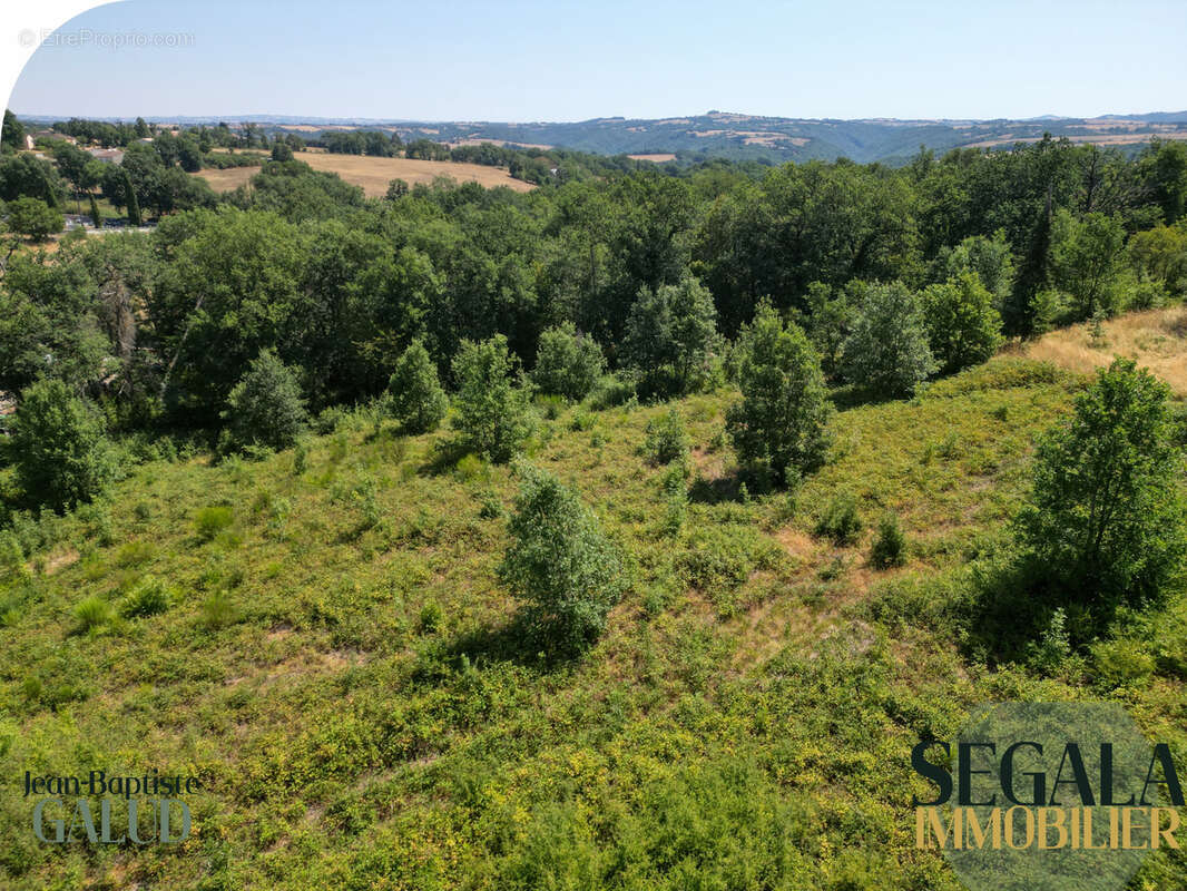Terrain constructible boisé de 6 310 m2 à Mirandol-Bourgnounac - photo 15
