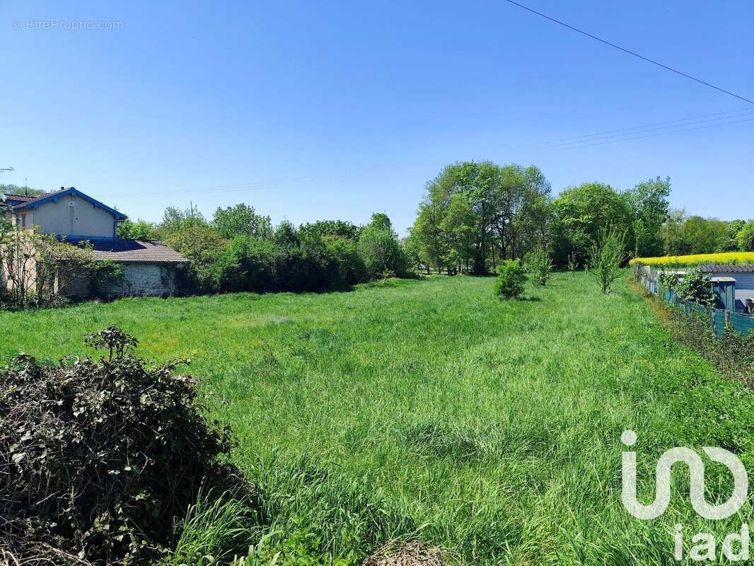 Photo 6 - Terrain à MAILLY-LE-CAMP