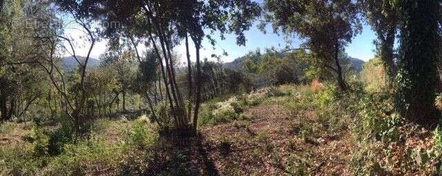 Terrain à LE TIGNET