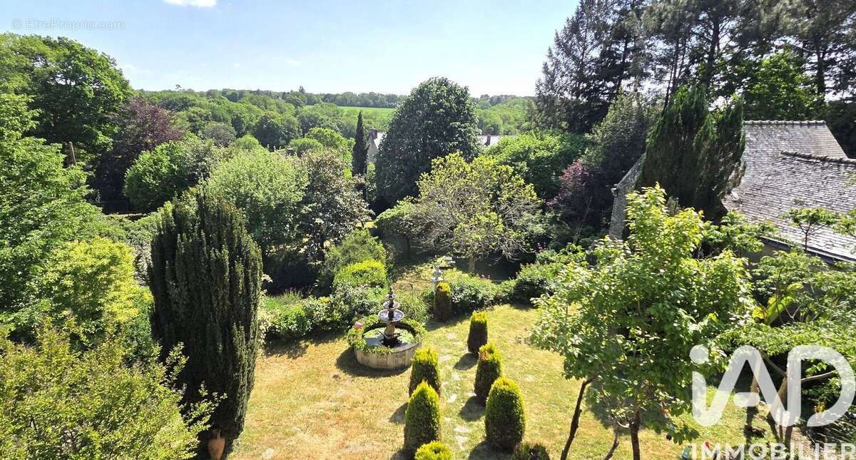 Photo 8 - Maison à ROCHEFORT-EN-TERRE
