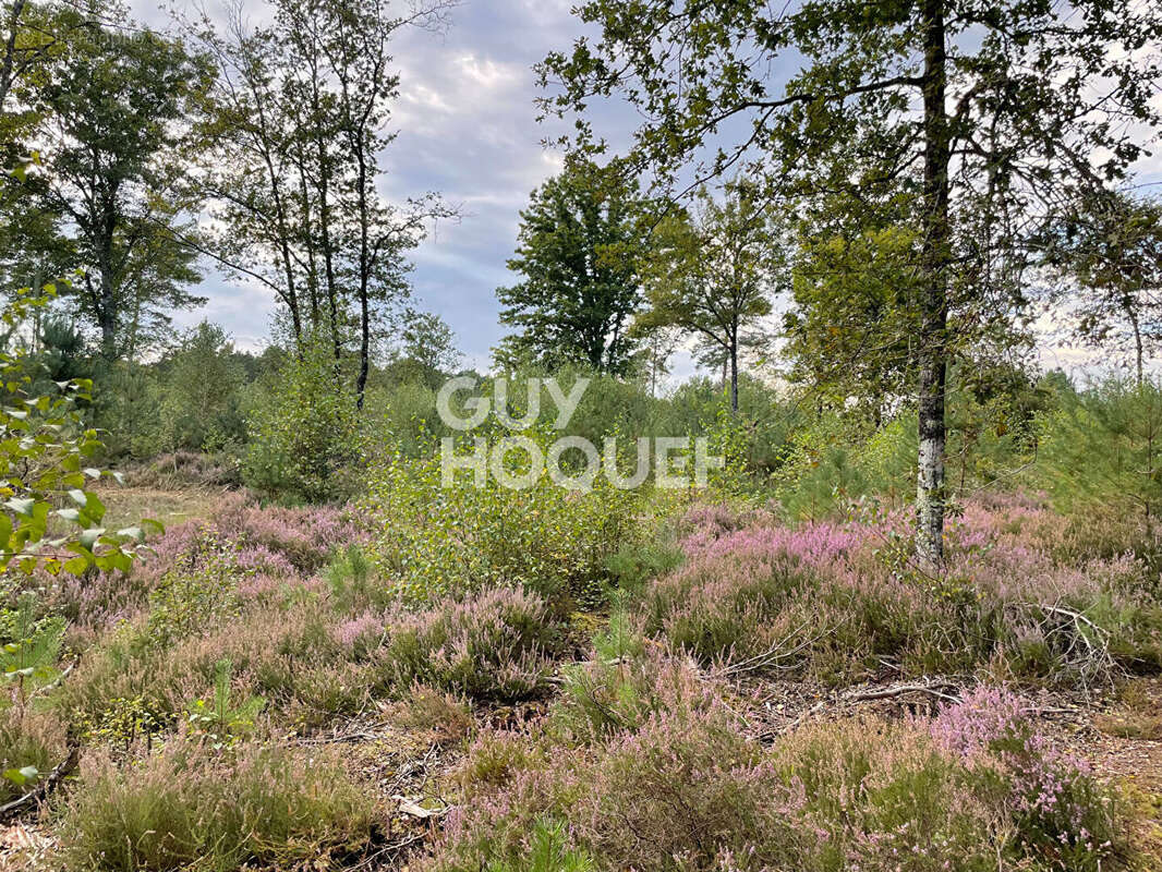 Terrain à LAMOTTE-BEUVRON