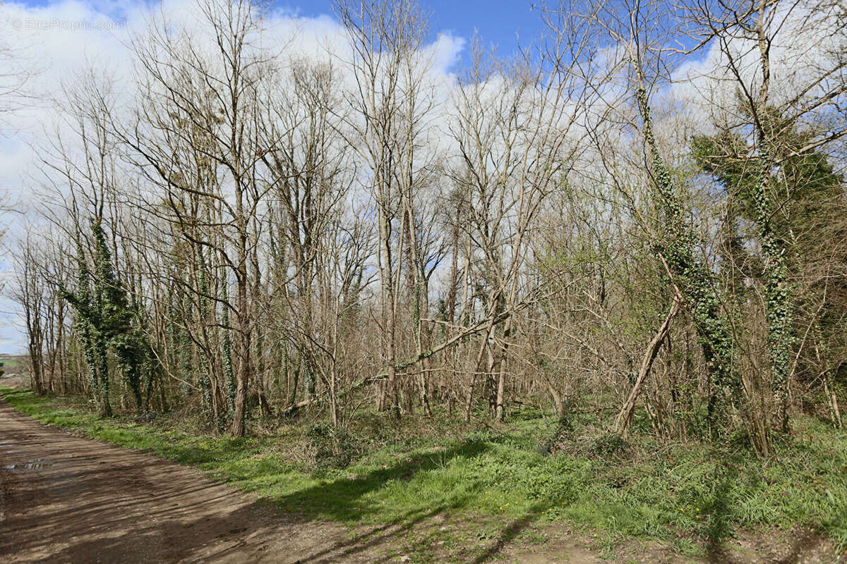 Terrain à SAINT-GERMAIN-DE-SALLES