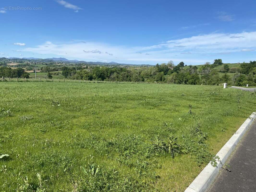 Photo 5 - Terrain à ARBOUET-SUSSAUTE