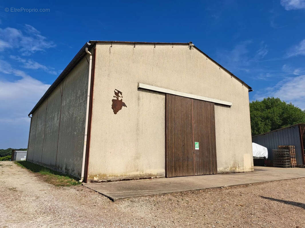 Propriété viticole bio sur 22 hectares - Réf 72 - photo 2