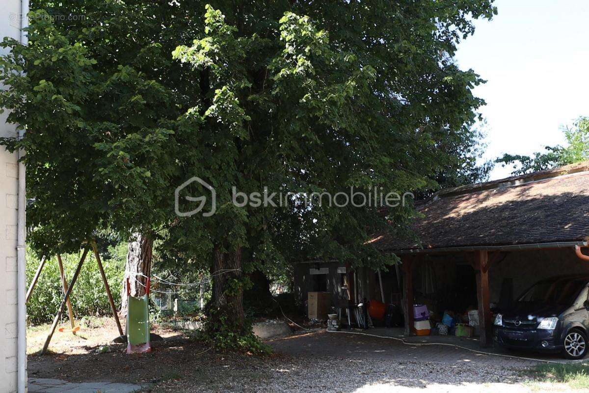 Grande Maison avec jardin de 5049 m² - photo 19