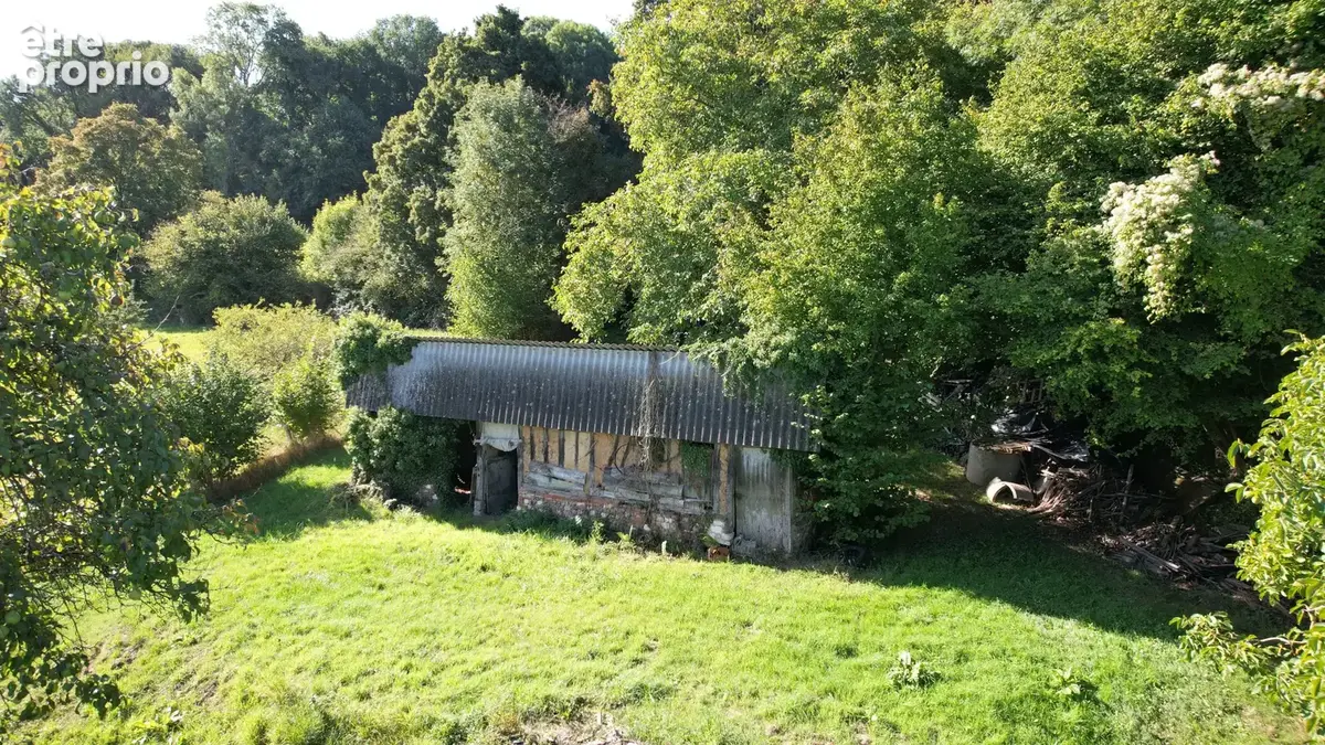Terrain non constructible de 2400 m2. - photo 3