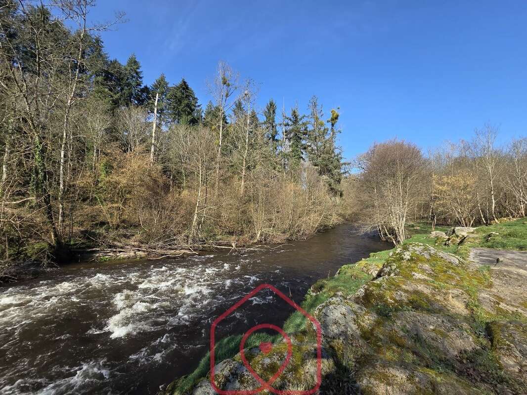 Propriété 9 pièces 289m2 - photo 29