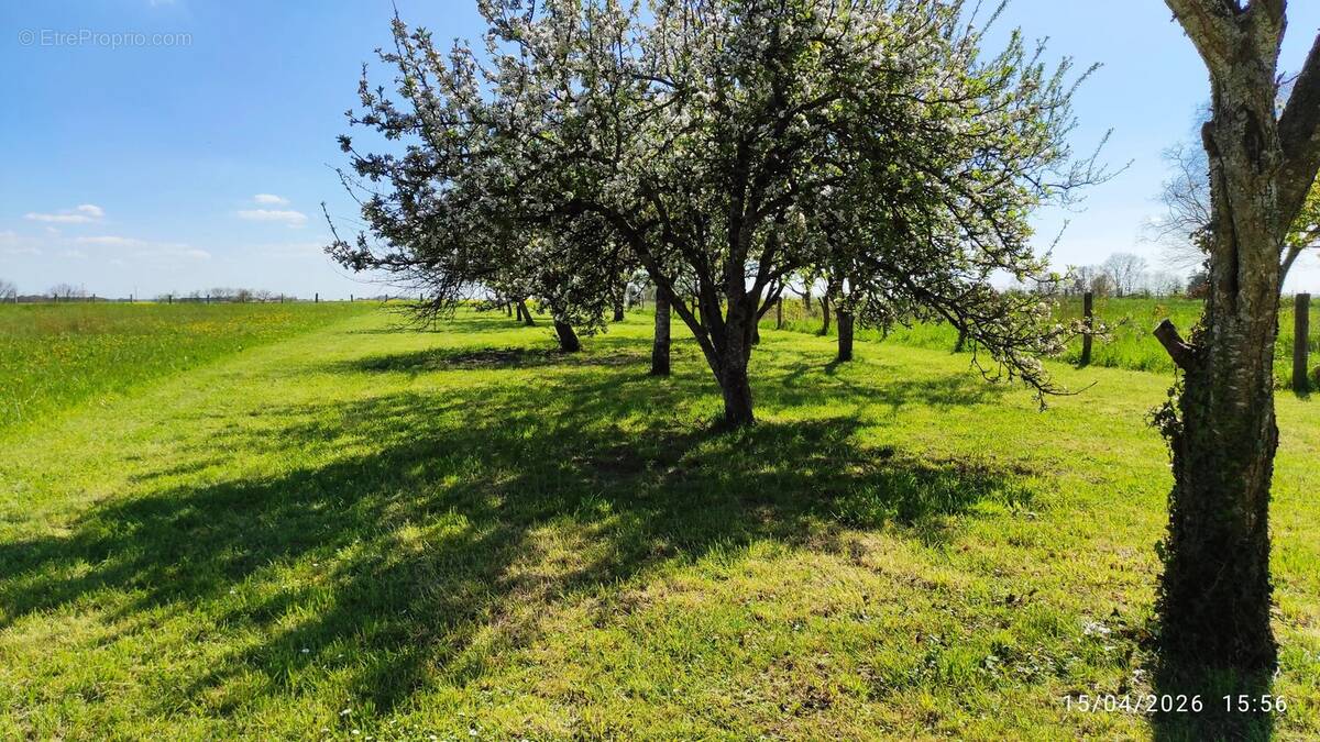 Terrain à SAINTE-MENEHOULD