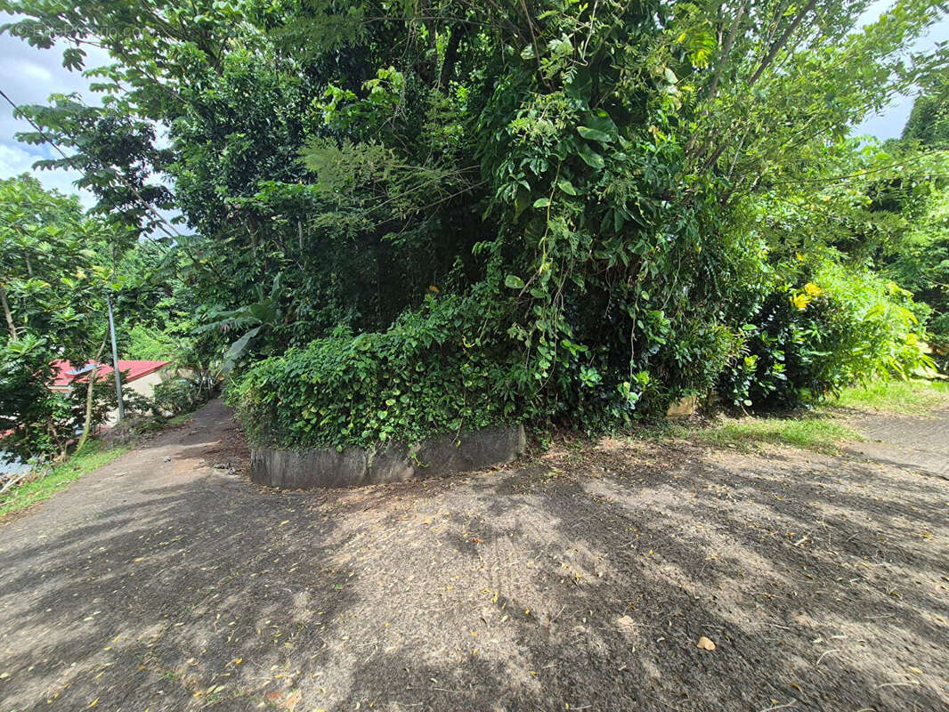 Terrain à LE LAMENTIN