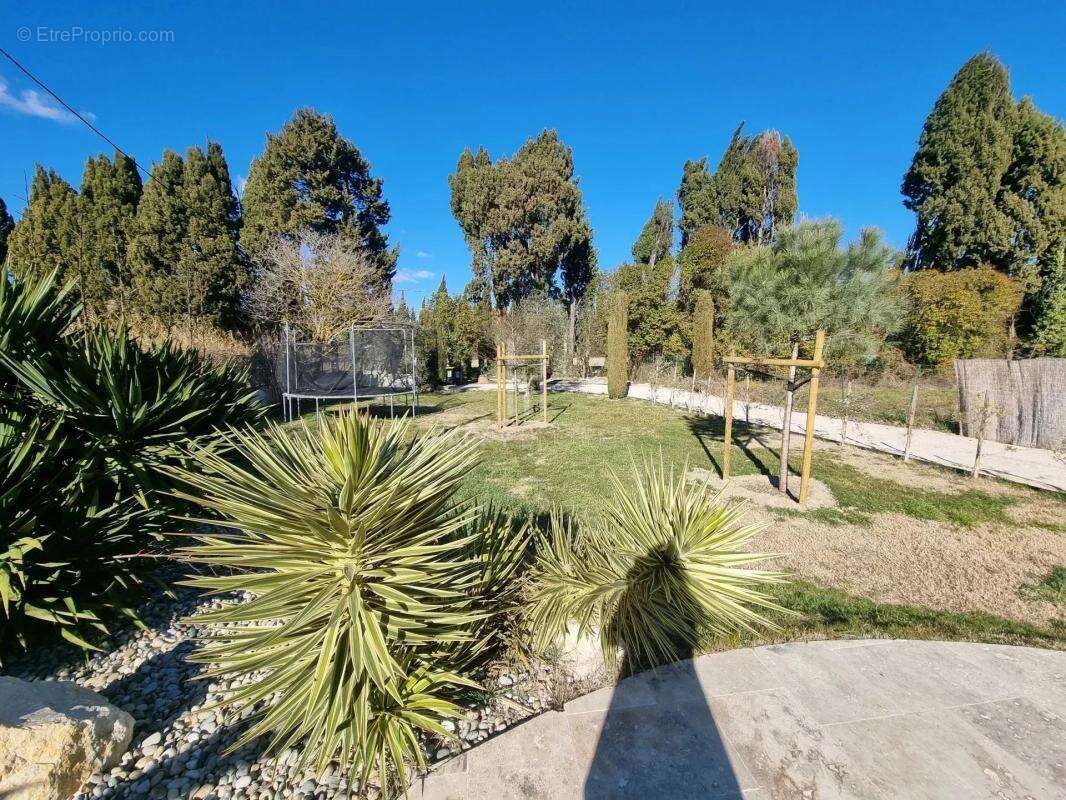 Maison à SAINT-REMY-DE-PROVENCE