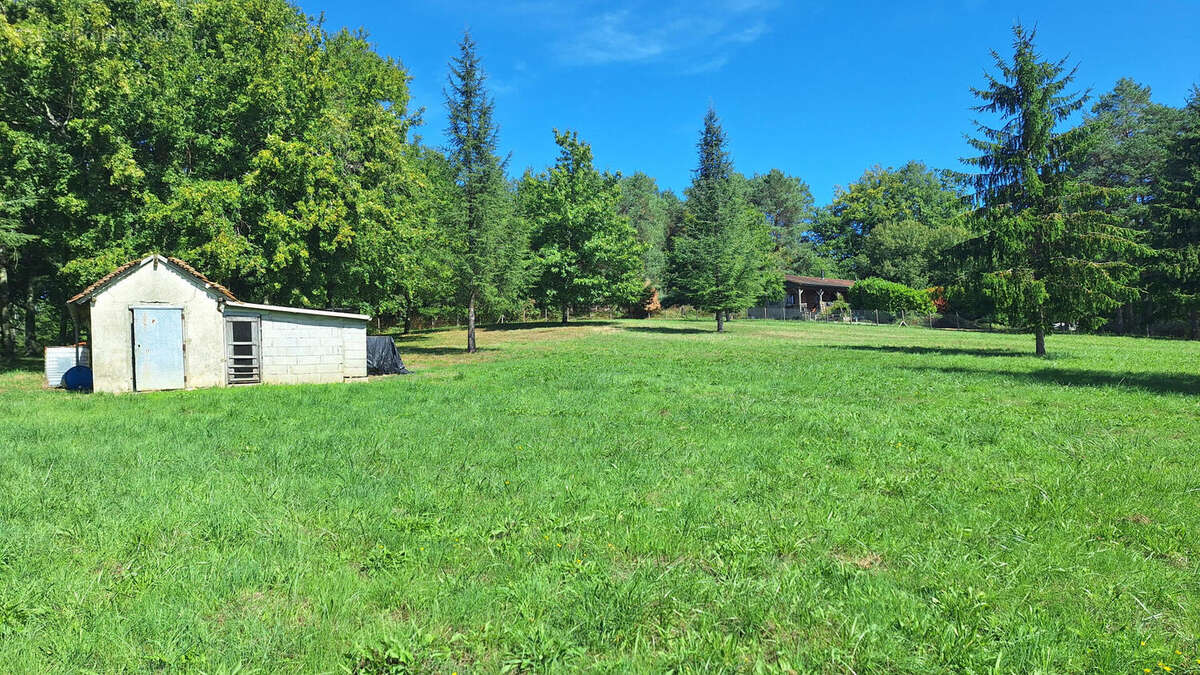 20250917_140746 - Terrain à SAINT-PARDOUX-LA-RIVIERE