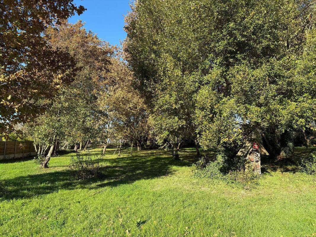 Photo 1 - Terrain à AUDENGE