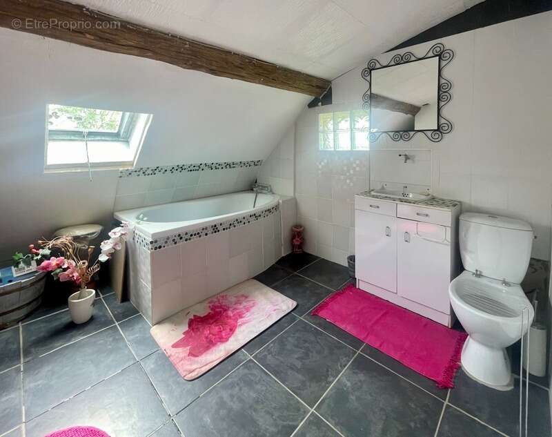 Maison à MORNAY-SUR-ALLIER