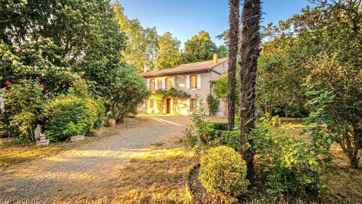 Maison à CINTEGABELLE