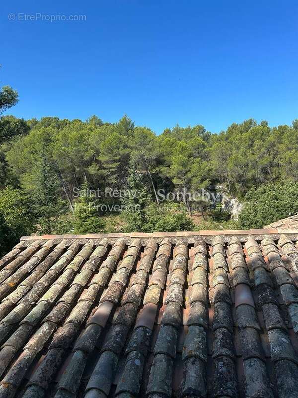 Maison à SAINT-REMY-DE-PROVENCE