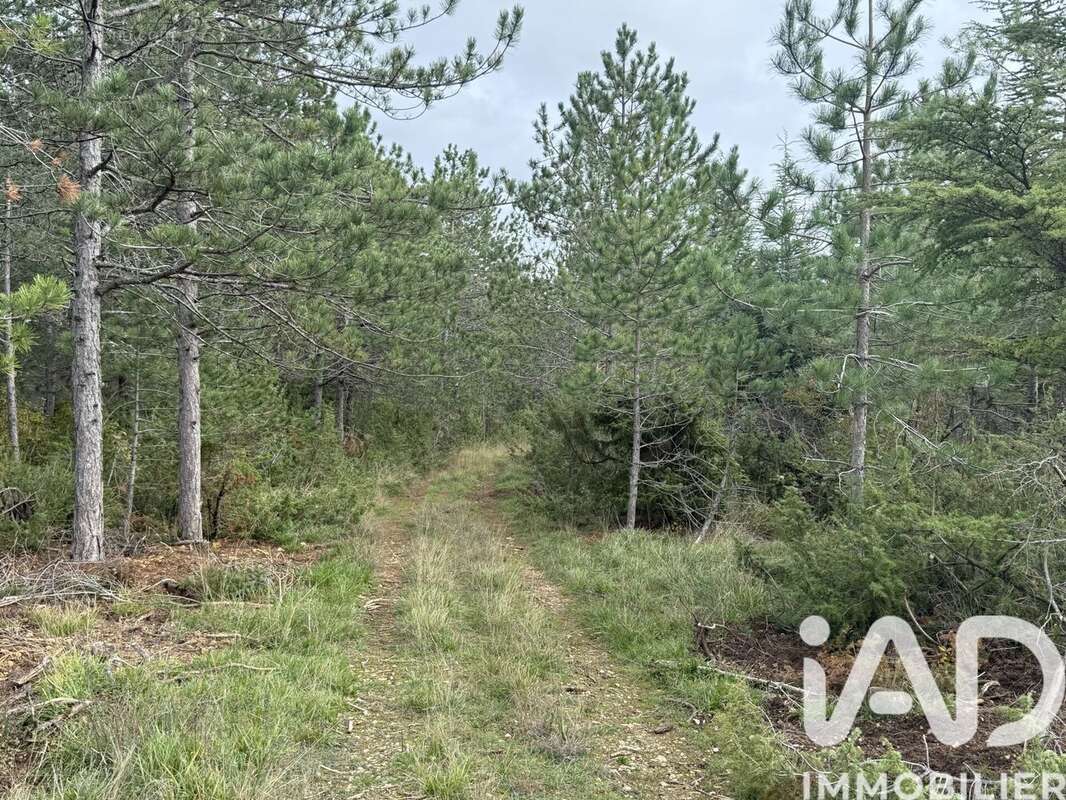 Photo 3 - Terrain à MONTAYRAL