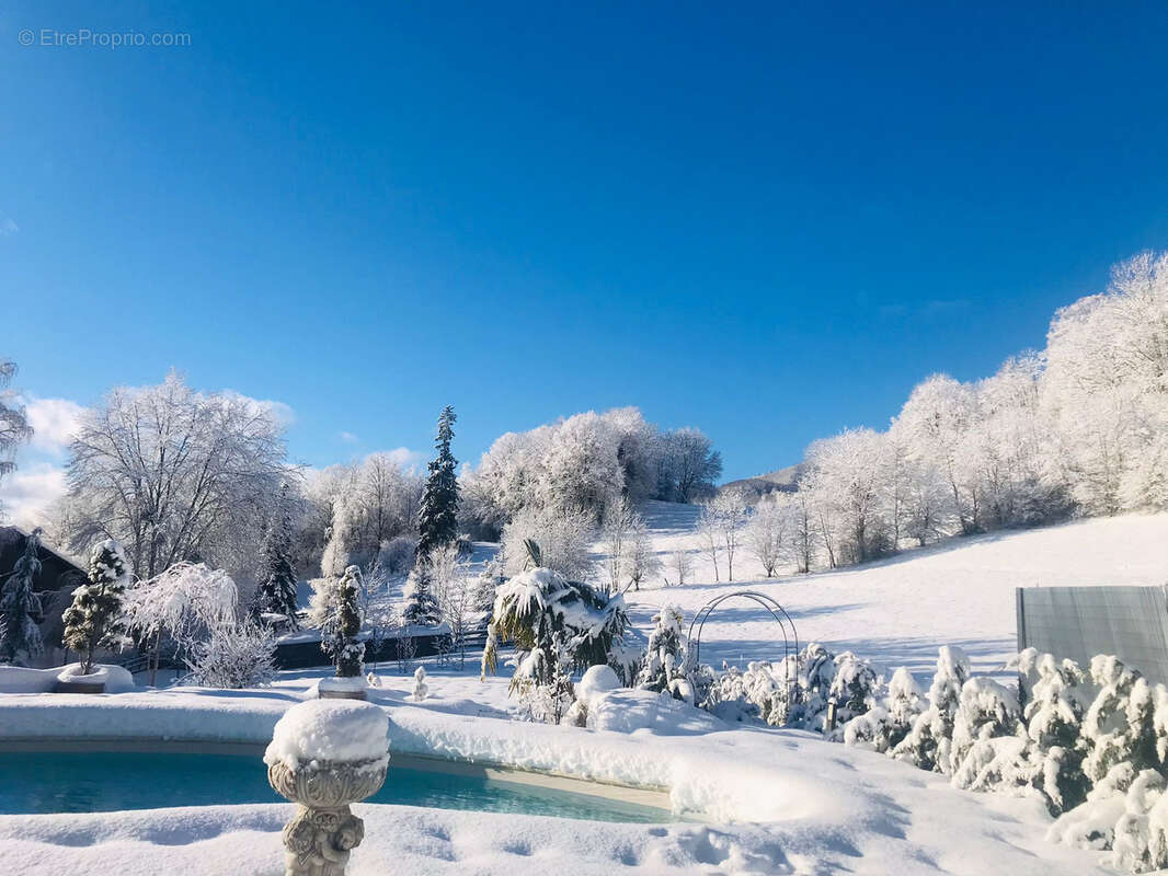 Maison d'architecte 8 pieces - 310m2 - piscine - grand terrain de 2330m2 - garage 62m2 - photo 20