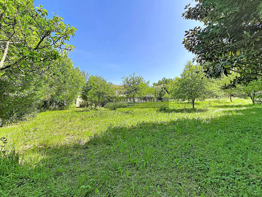 Terrain à LE PONTET