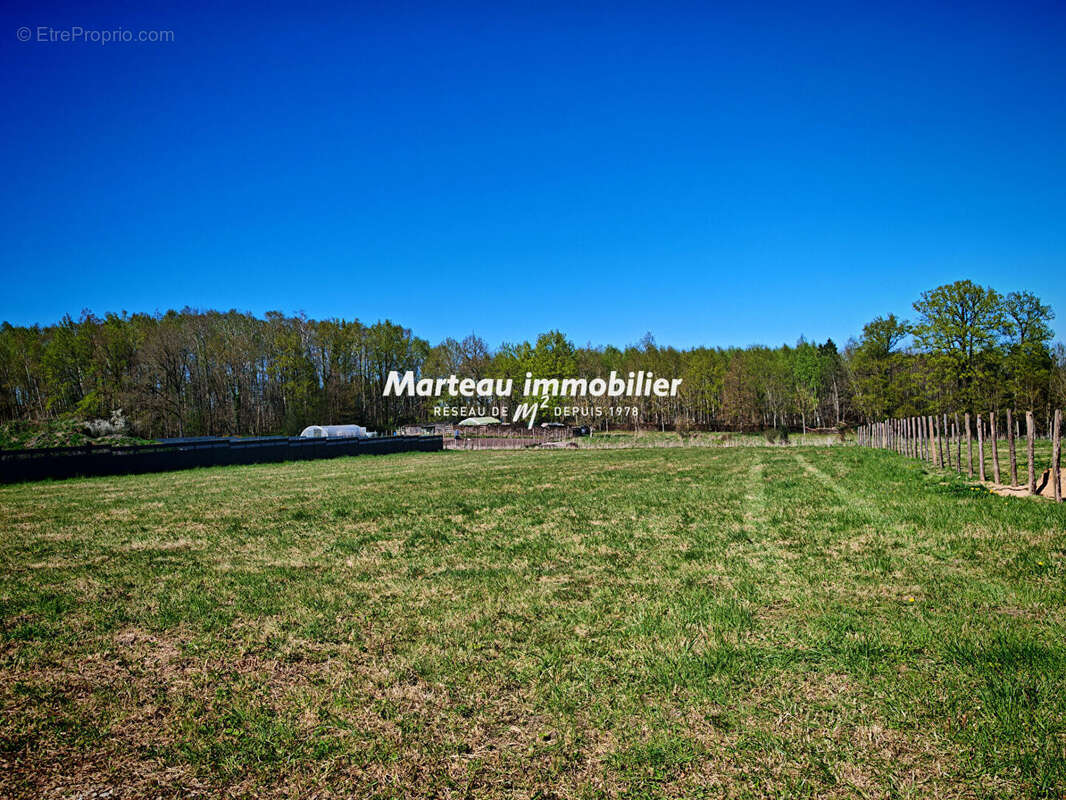 Terrain à LE GRAND-LUCE