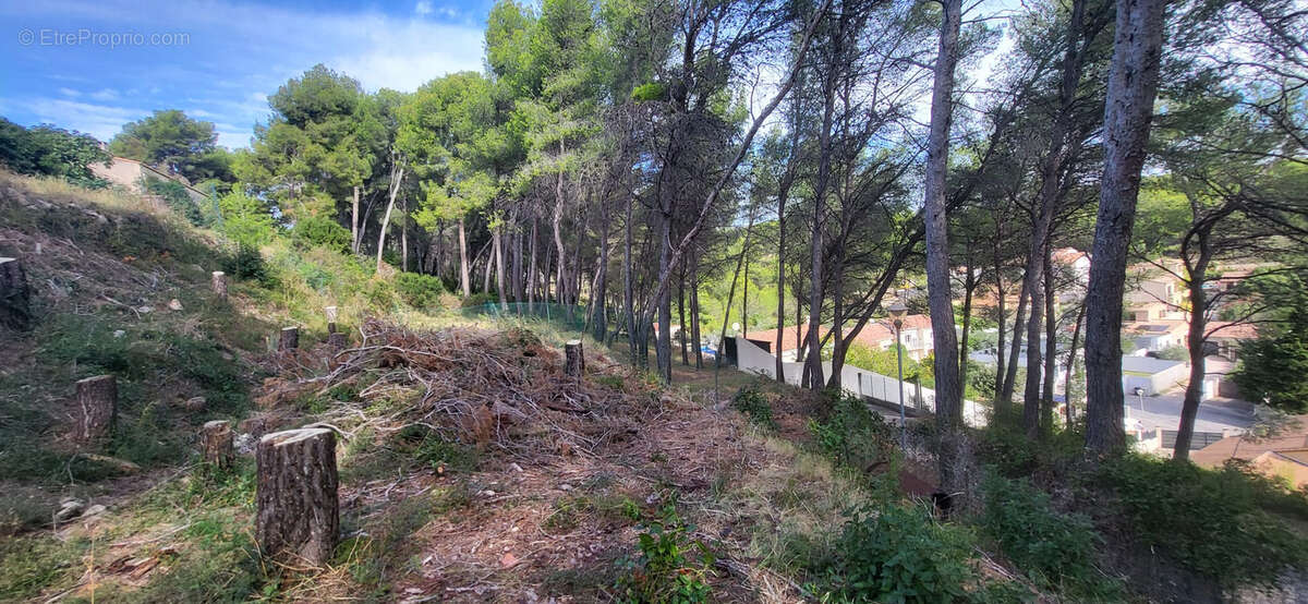 Terrain à ROGNAC