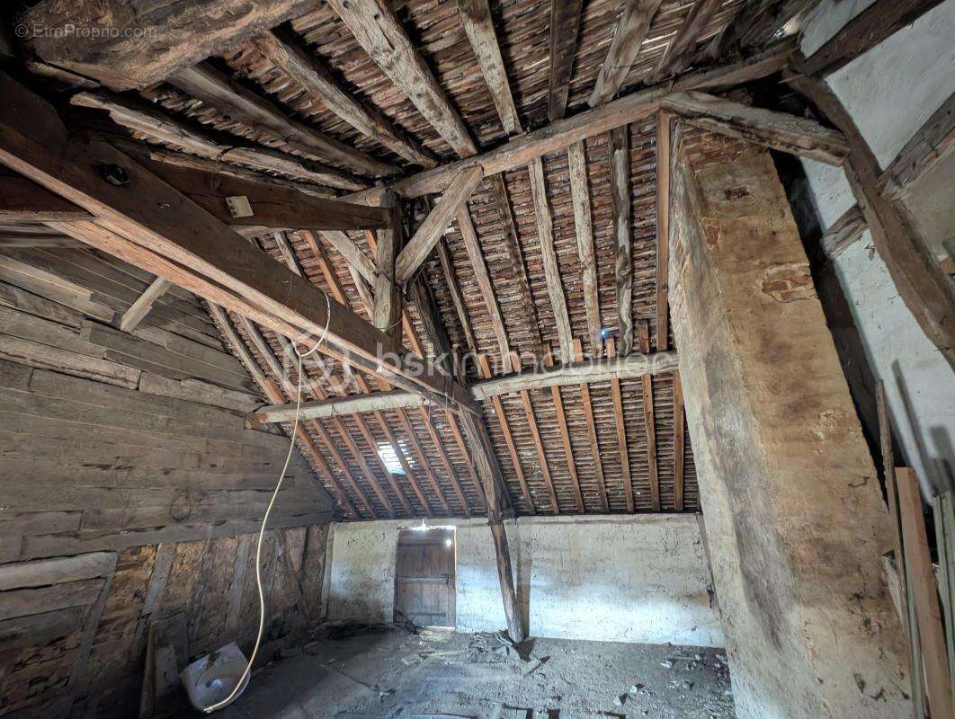 Appartement à CHATEAU-RENARD