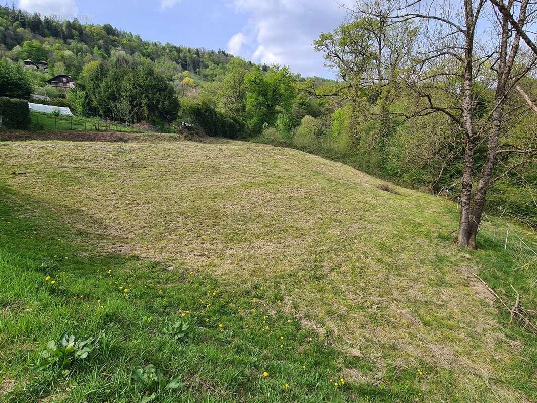 Terrain à MARTHOD