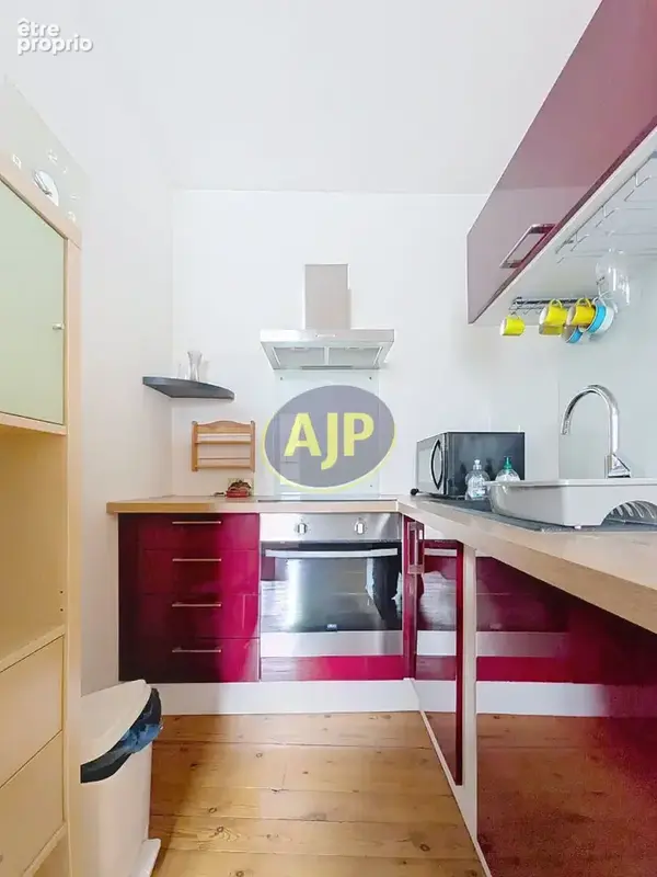 Appartement T1-Bis Indre bord de Loire 32m² - photo 3