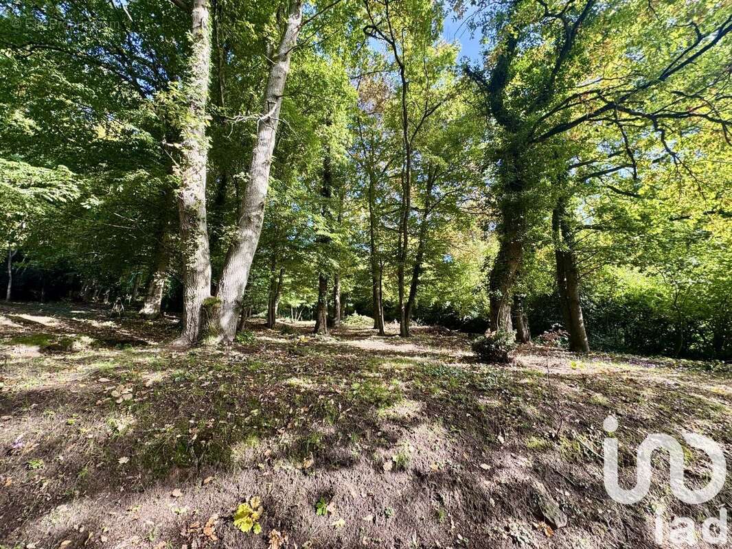 Photo 5 - Maison à GIF-SUR-YVETTE