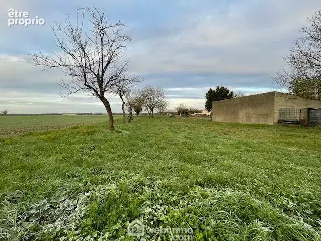 Au calme dans un environnement verdoyant.