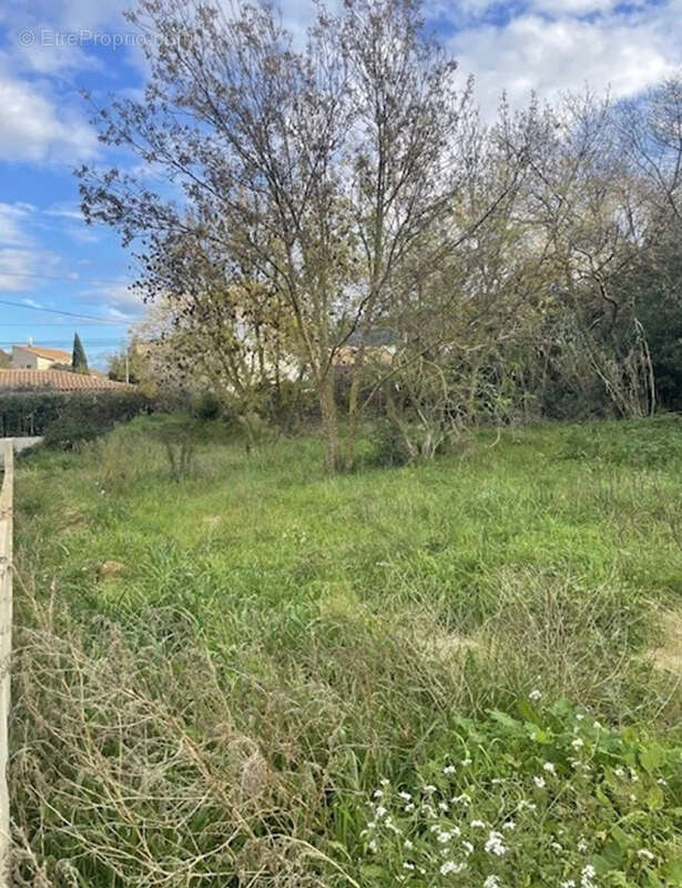 Terrain à LA PENNE-SUR-HUVEAUNE