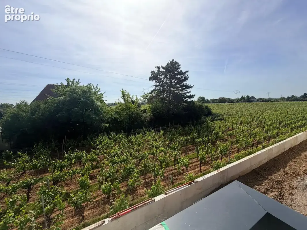 Exclusivité : Maison Neuve de Standing au Cœur du Vignoble à Wintzenheim - photo 3