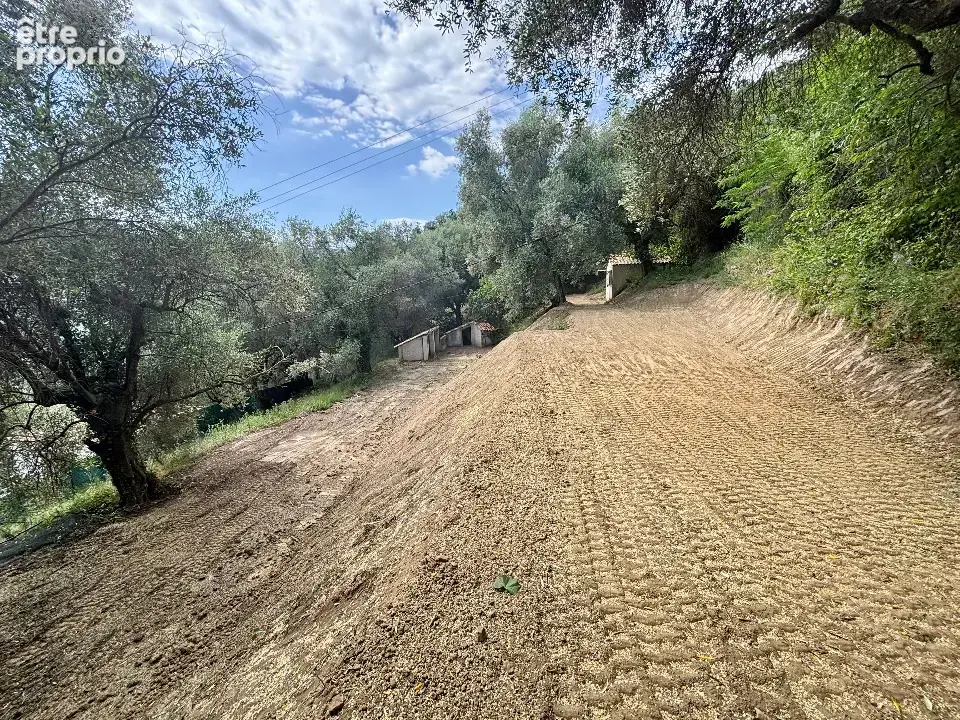 Terrain 2 385 m² à vendre à Contes (06390) - photo 1
