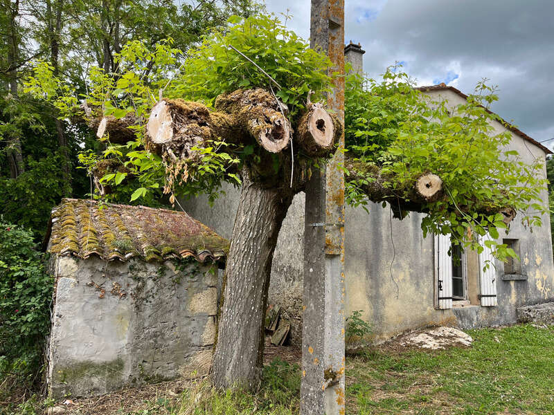 Maison à CLEYRAC