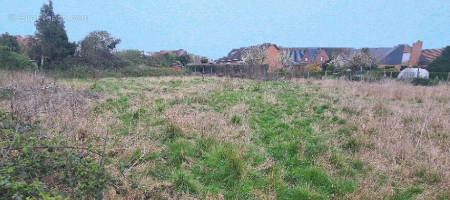 Terrain à GIVENCHY-EN-GOHELLE