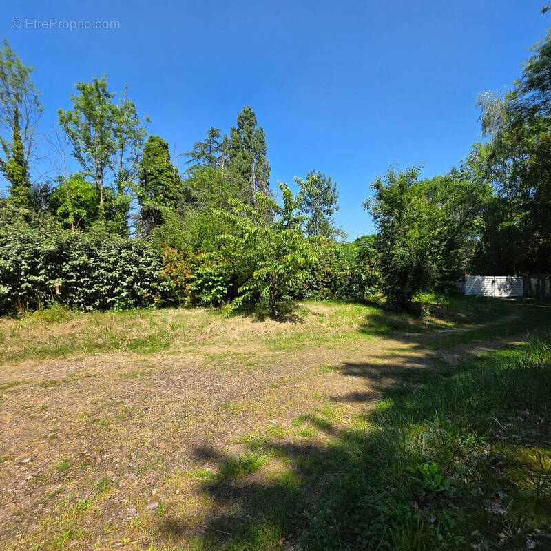 Terrain à LE MESNIL-SAINT-DENIS