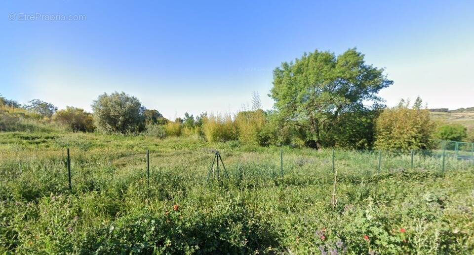 Terrain à QUARANTE
