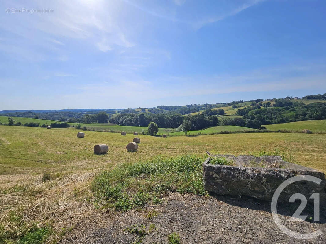 Maison 121 m² à Salies-De-Bearn  - photo 10