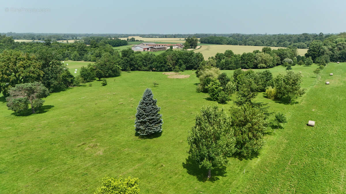 Maison à VILLARS-LES-DOMBES