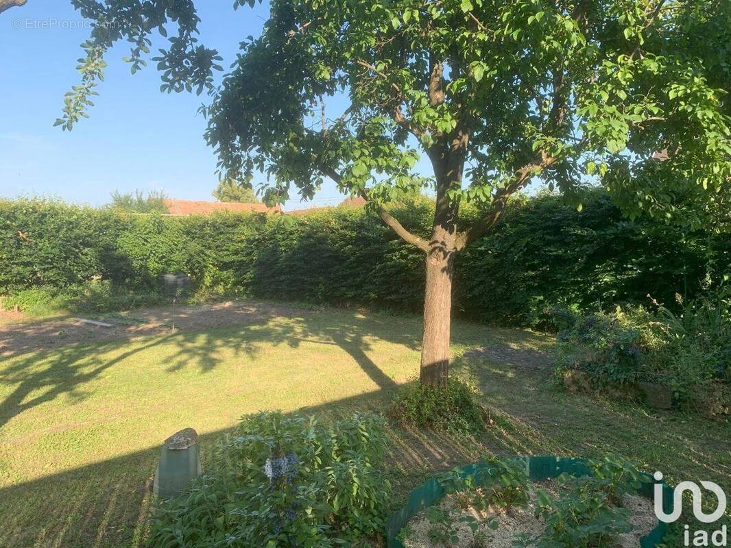 Photo 1 - Maison à TURCKHEIM