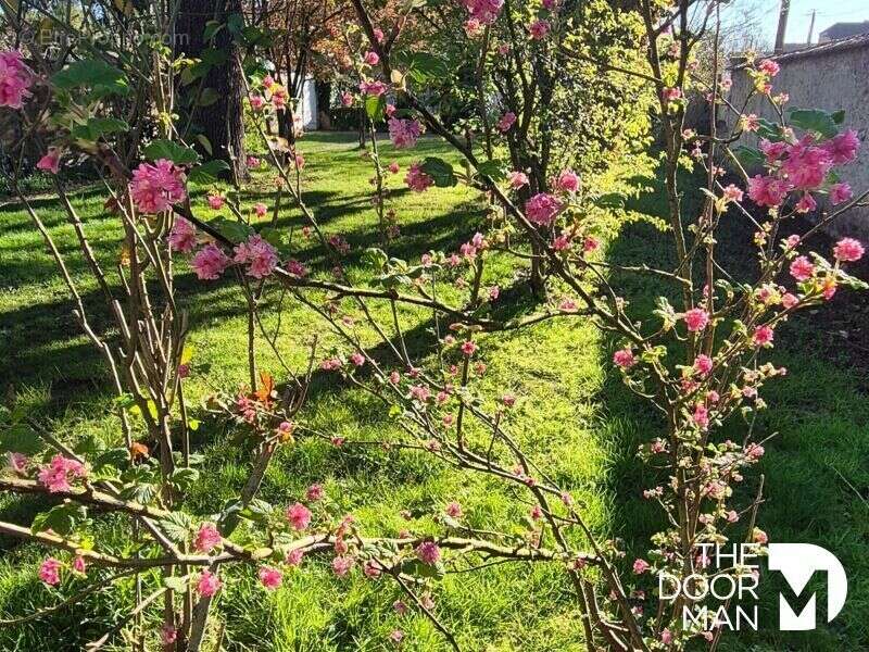 Maison à RAMBOUILLET