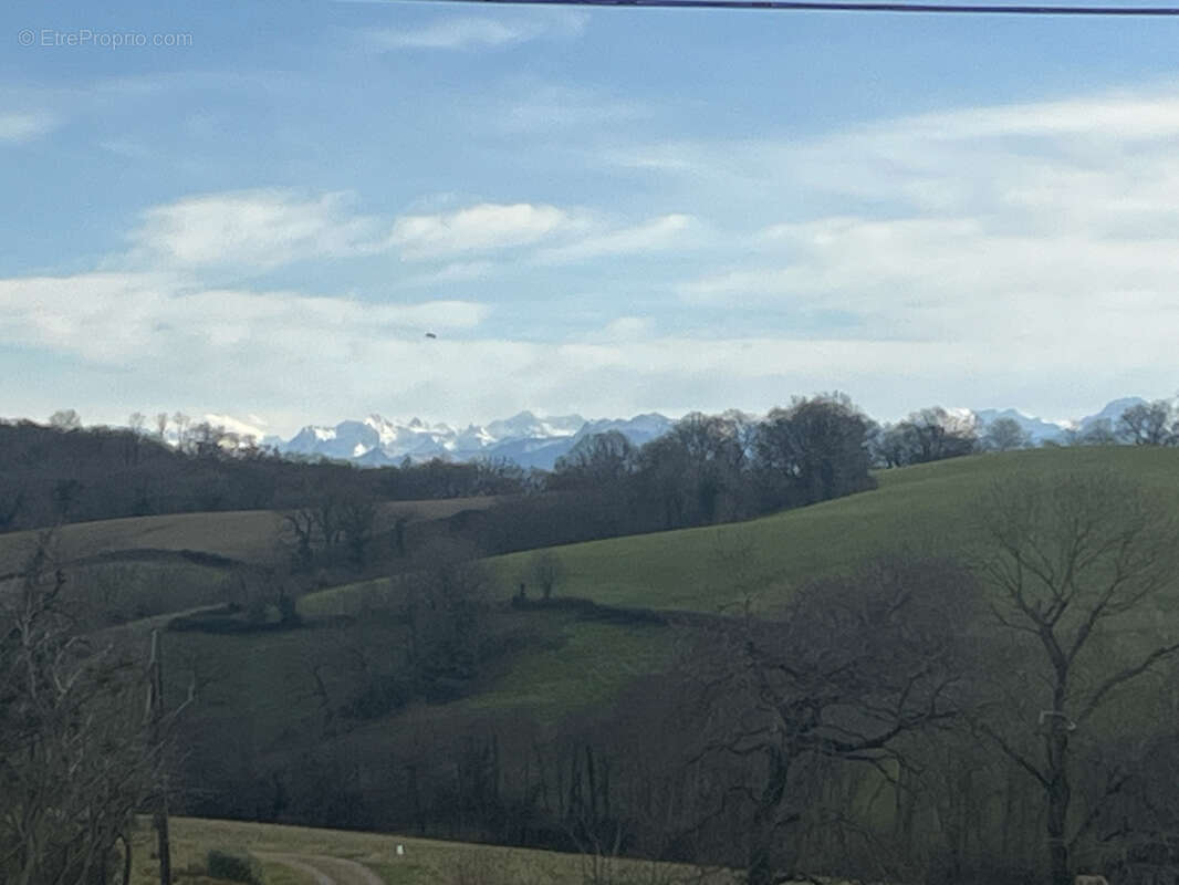 Terrain à ORRIULE