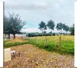 Terrain à MINIAC-SOUS-BECHEREL