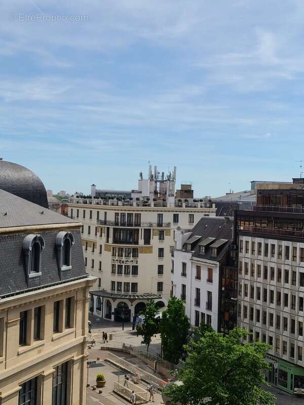 Coeur historique de Dijon- Grangier-Darcy  -Râre-Appartement grands volumes - libre - photo 14