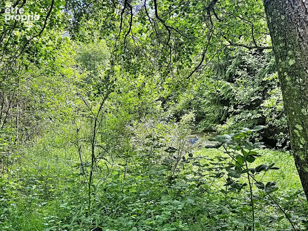 Exclusivite - cossesseville - terrain de loisirs - photo 10