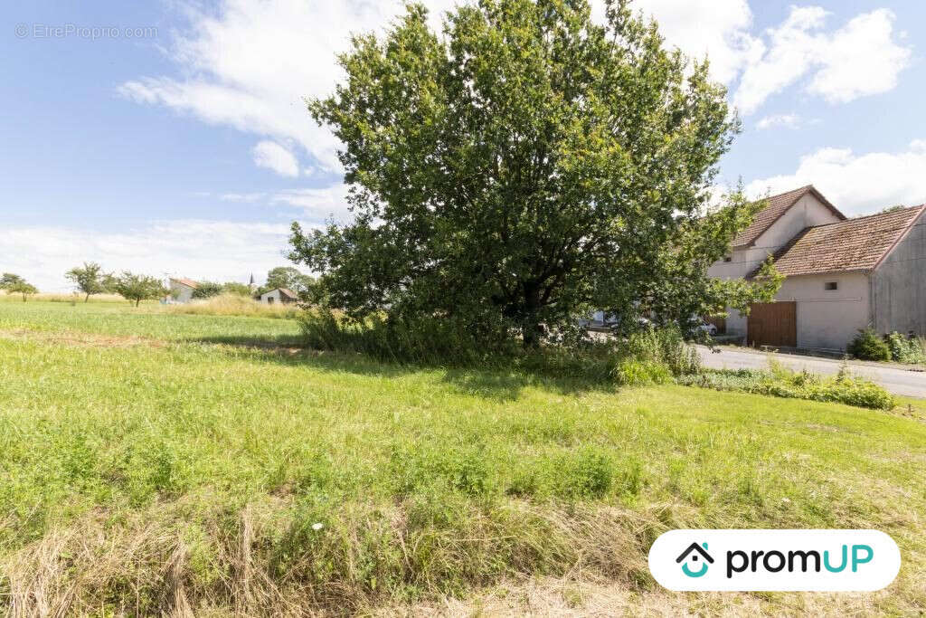 Terrain à GUENVILLER