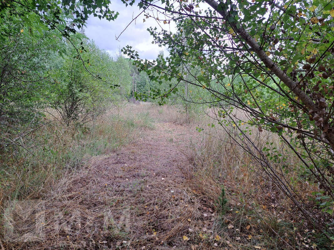 Grand Terrain Constructible - photo 5