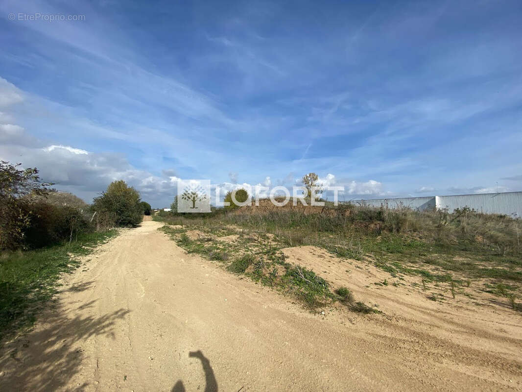 Terrain à DOUE-LA-FONTAINE