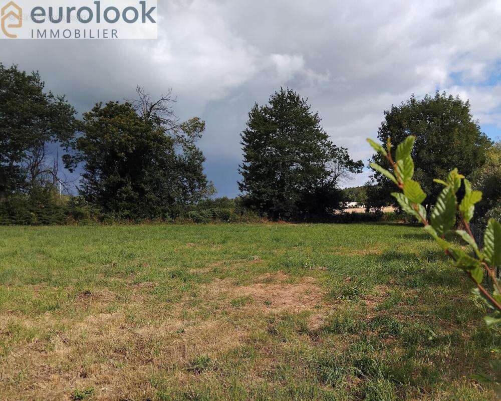 Terrain à SAINT-GUYOMARD