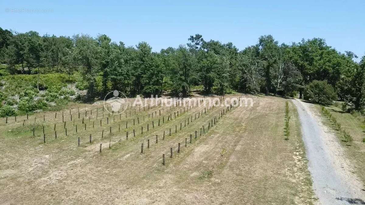 Maison de caractère - 155m² - 8 hectares - photo 8
